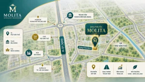 Bản đồ vị trí dự án Đại Phước Molita tại đường Thiếu Niên 3 xã Trừ Văn Thố huyện Bàu Bàng tỉnh Bình Dương